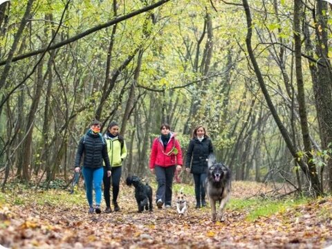 Passeggiate e Outdoor