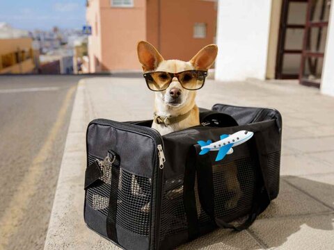 Viaggio e Trasporto