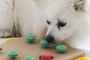 Giochi Intelligenti