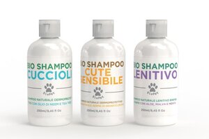 Shampoo e Bagno