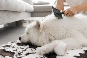 Spazzole Deshedding