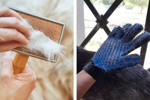Spazzole e Grooming