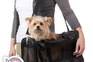 Trasportini Viaggio