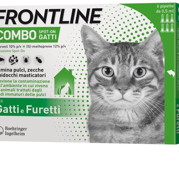 Frontline Combo Gatti