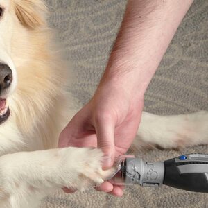 Dremel PawControl 7300-PT Tagliaunghie per Cani