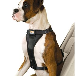 Kurgo TruFit Cintura di Sicurezza per Cani in Auto