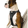 Kurgo TruFit Cintura di Sicurezza per Cani in Auto