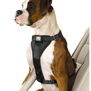 Kurgo TruFit Cintura di Sicurezza per Cani in Auto