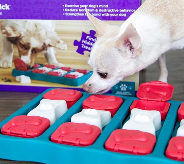 Nina Ottosson Dog Brick Puzzle Interattivo Livello 2